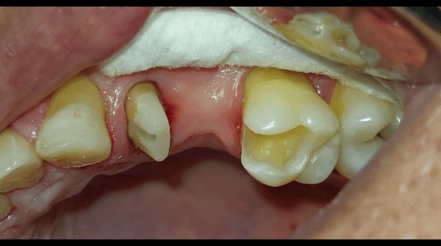 Giovanna Paola Huerta De Santiago-9