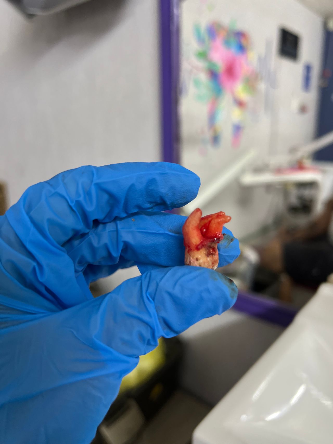 Alejandra Domínguez-8