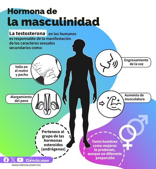 Raymundo Alejandro Cuevas Escalante-416