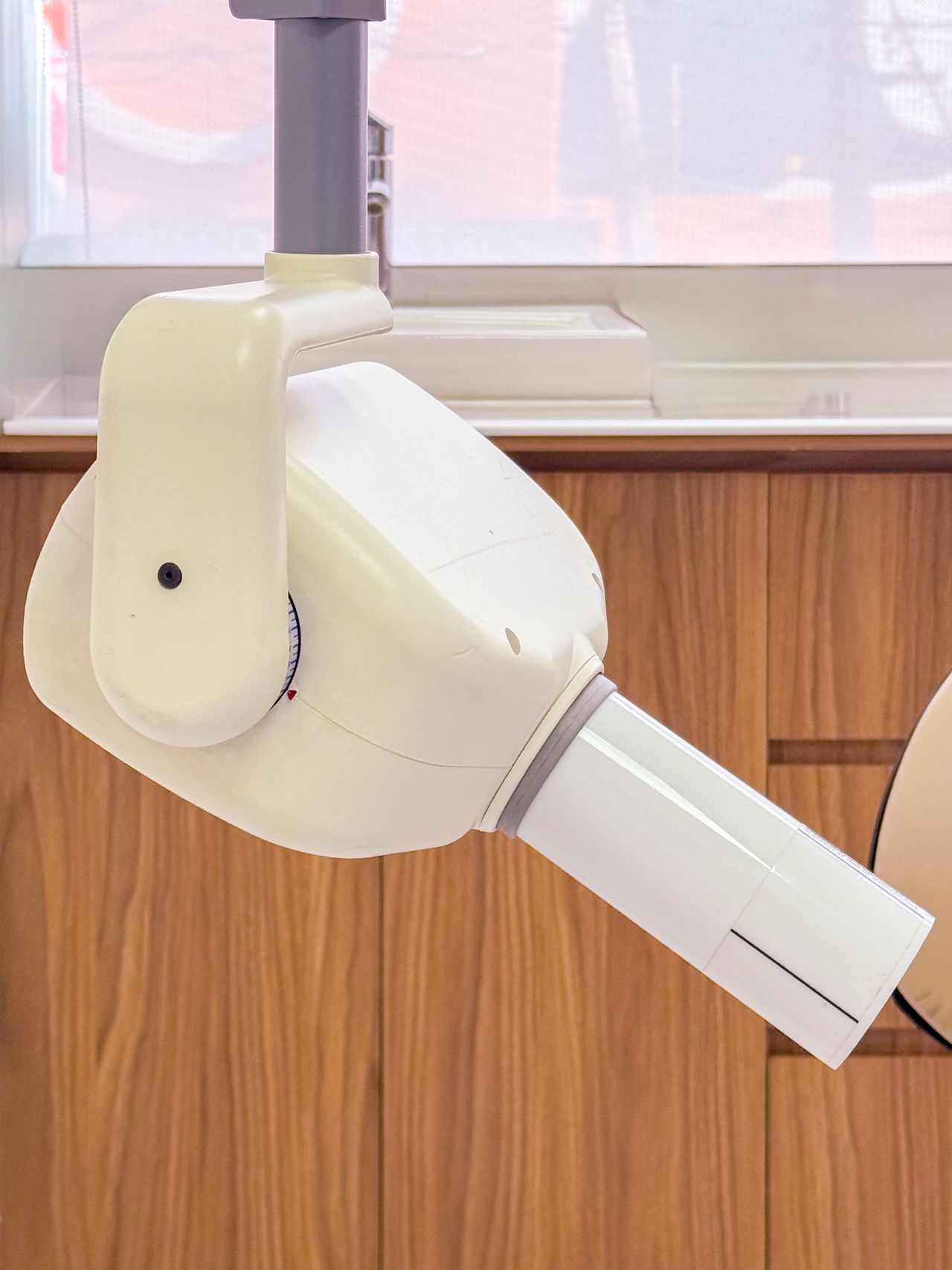 Brenda Carmona Molina-11