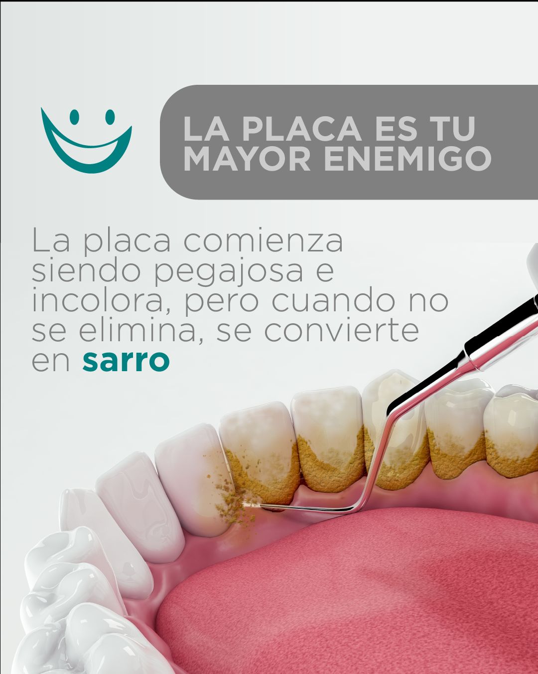 Diana De La Torre Priego-40