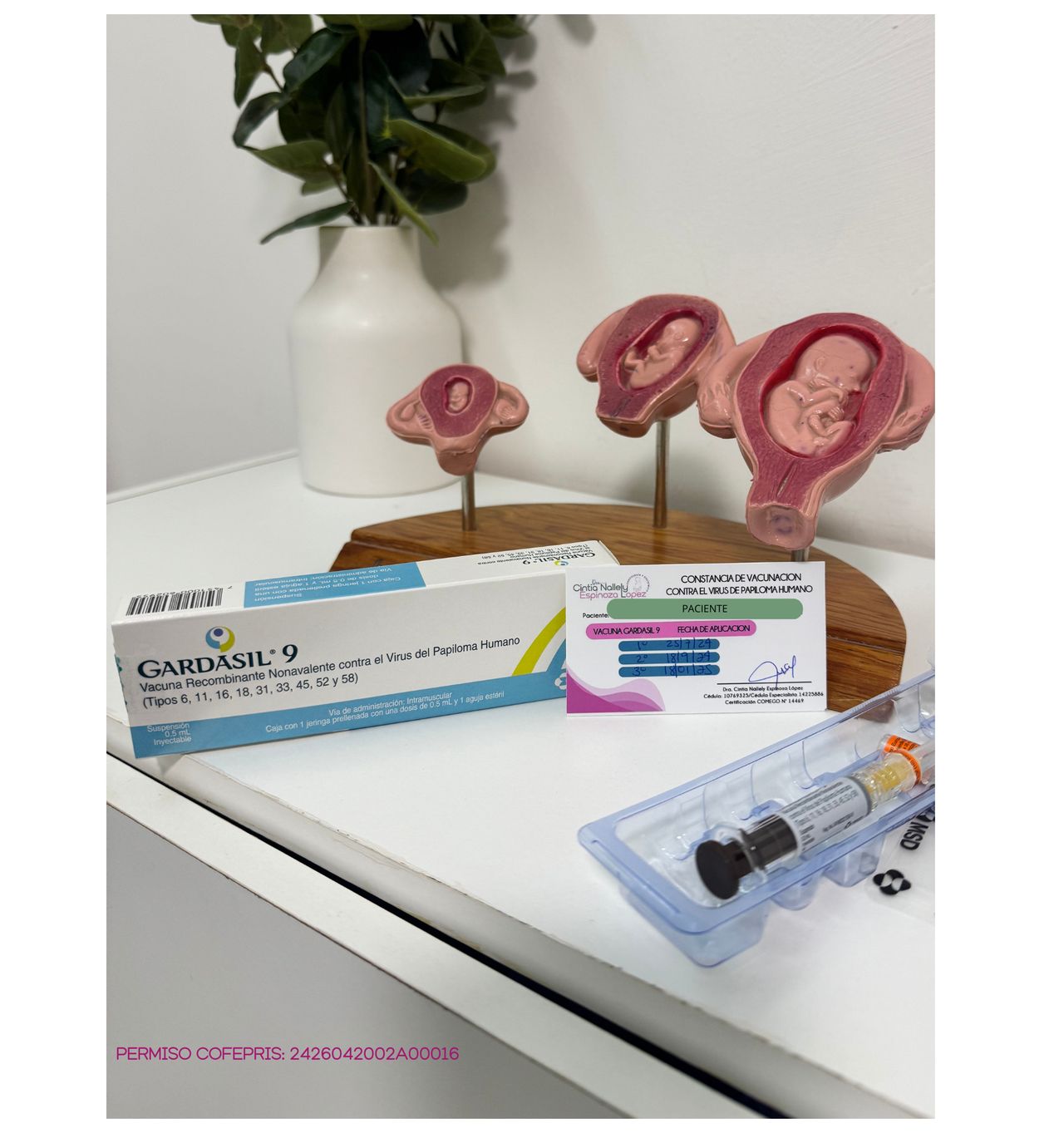 Cintia Espinoza López-3