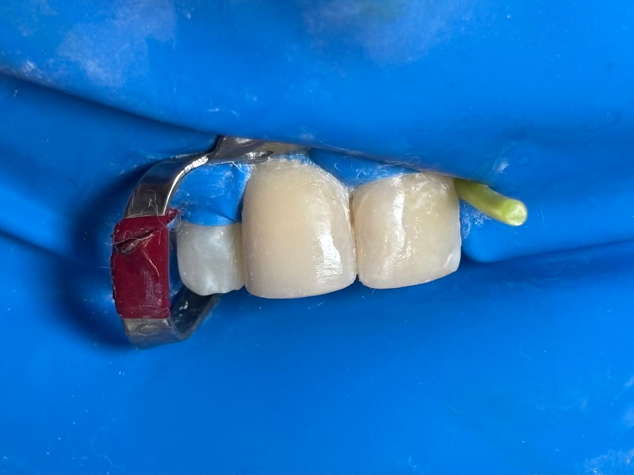 María Paula  Flores Novoa-62