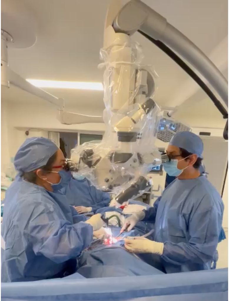 Griselda Collado Arce-3