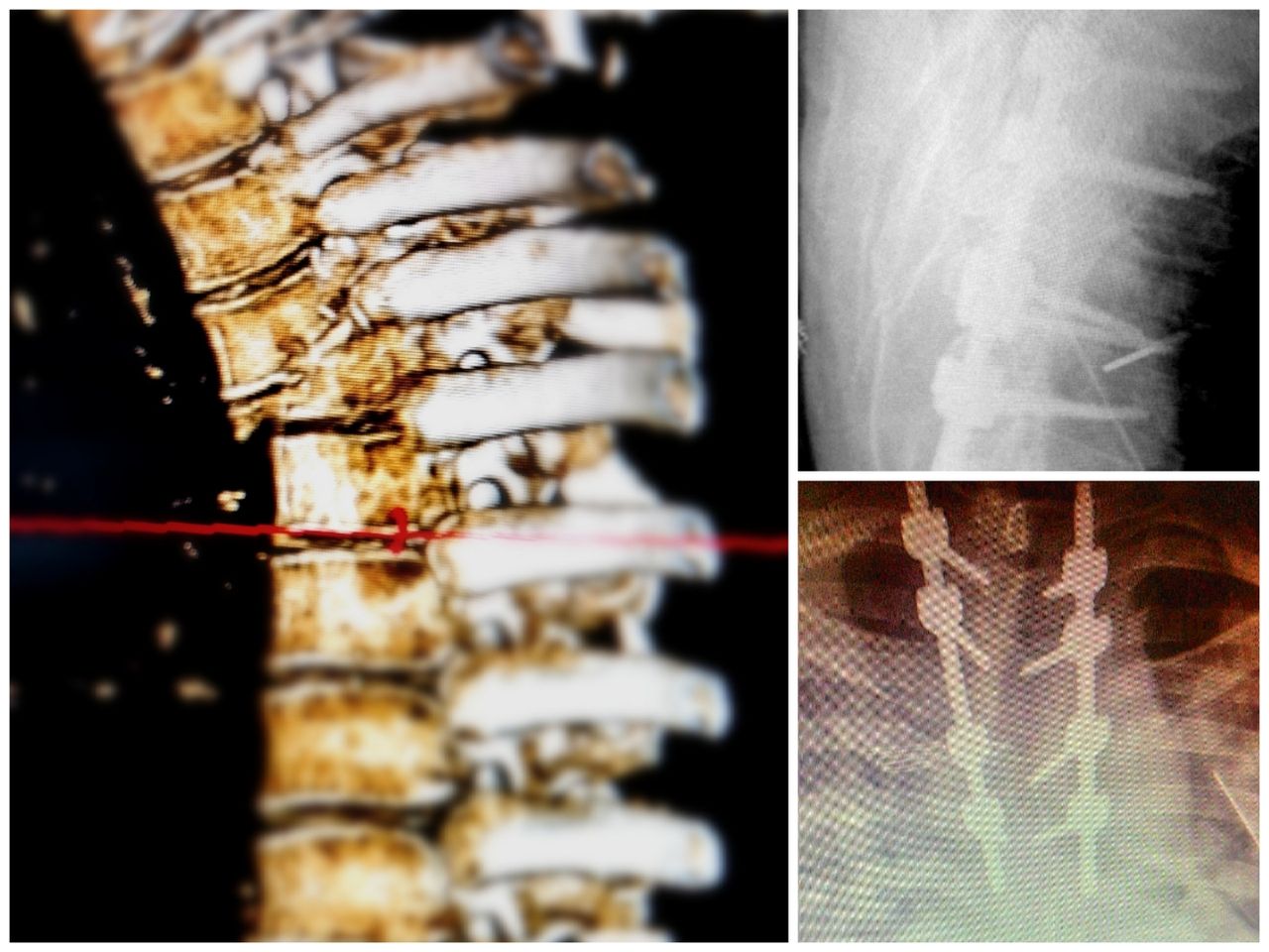 Gabriel De Leon Ochoa Lara-6