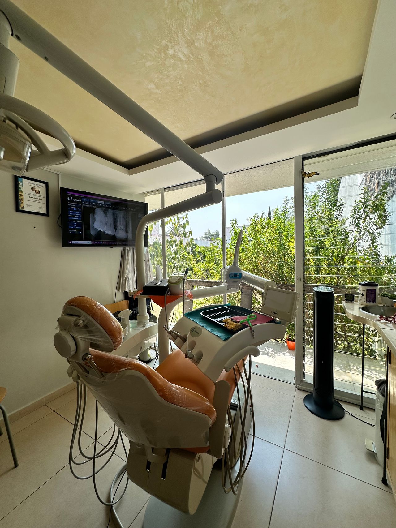 Brenda Vilchis González-0