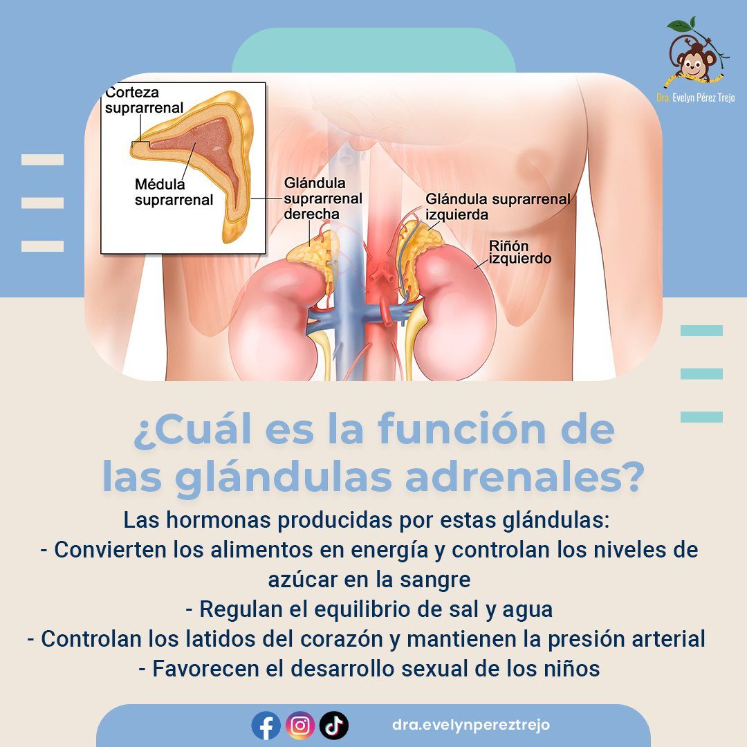 Evelyn Perez Trejo-52