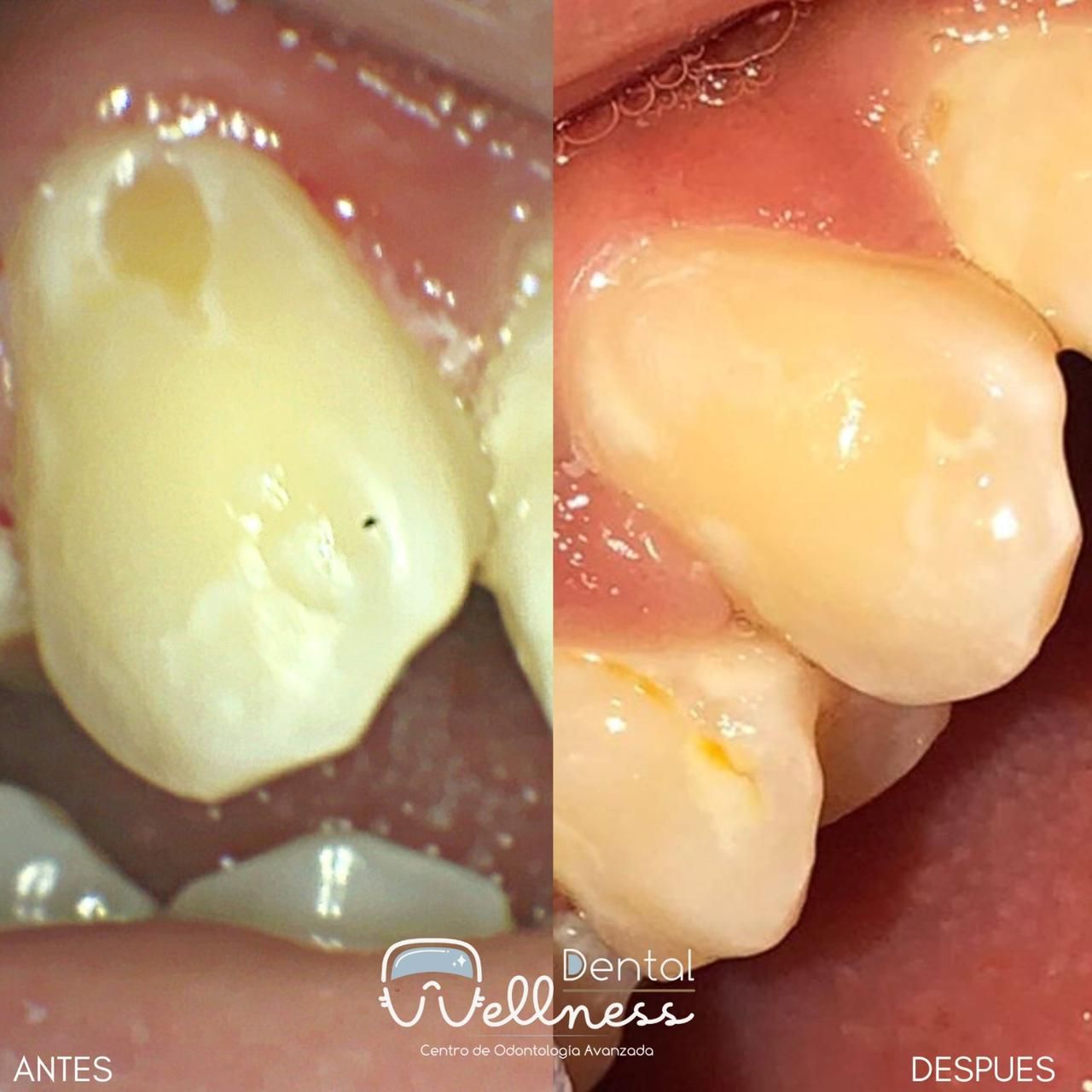 Leticia Hernández-14