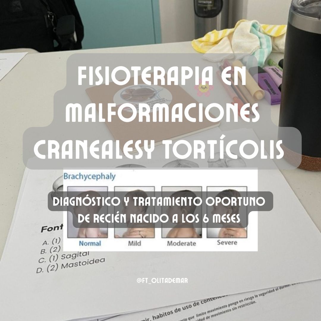 Mariana Macias González-4