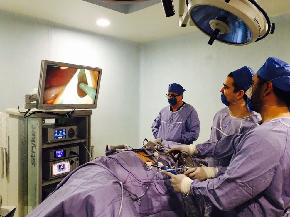 Enrique Alfaro Robles-3