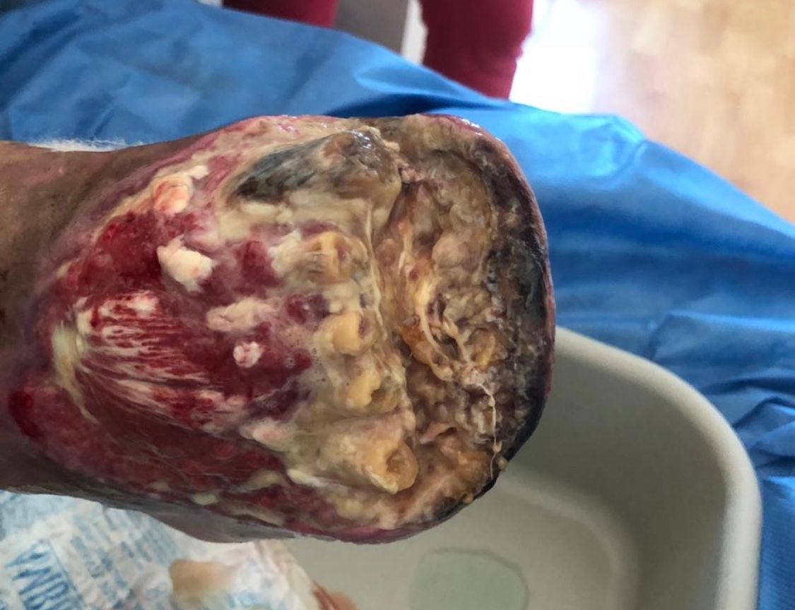 Hugo Francisco Solorio Rosete-0