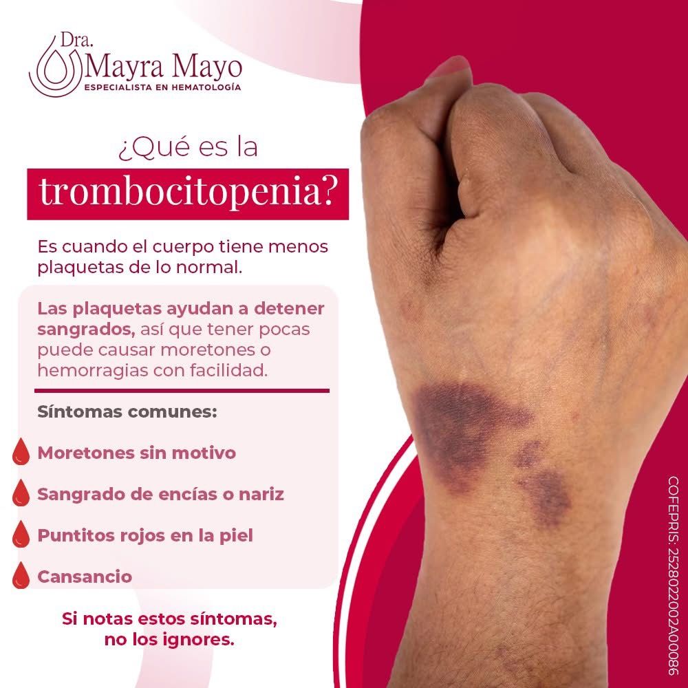 Mayra Lizbeth Mayo Martinez-6