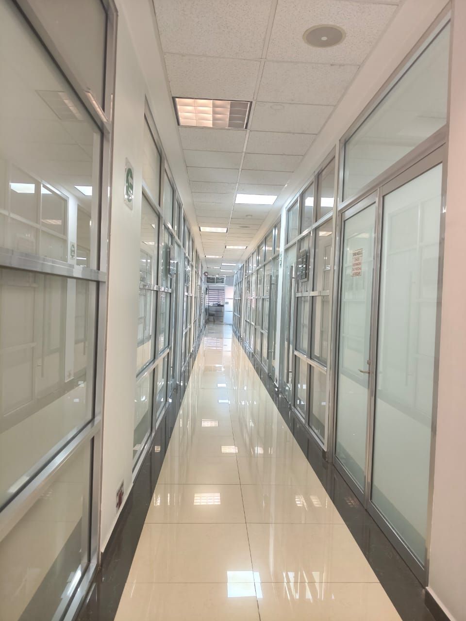 Flor De María Claudia Mercado Palacios-0