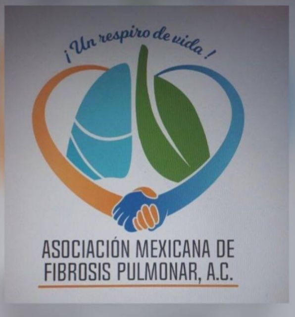 Ana Carolina Bassol Cámara-3