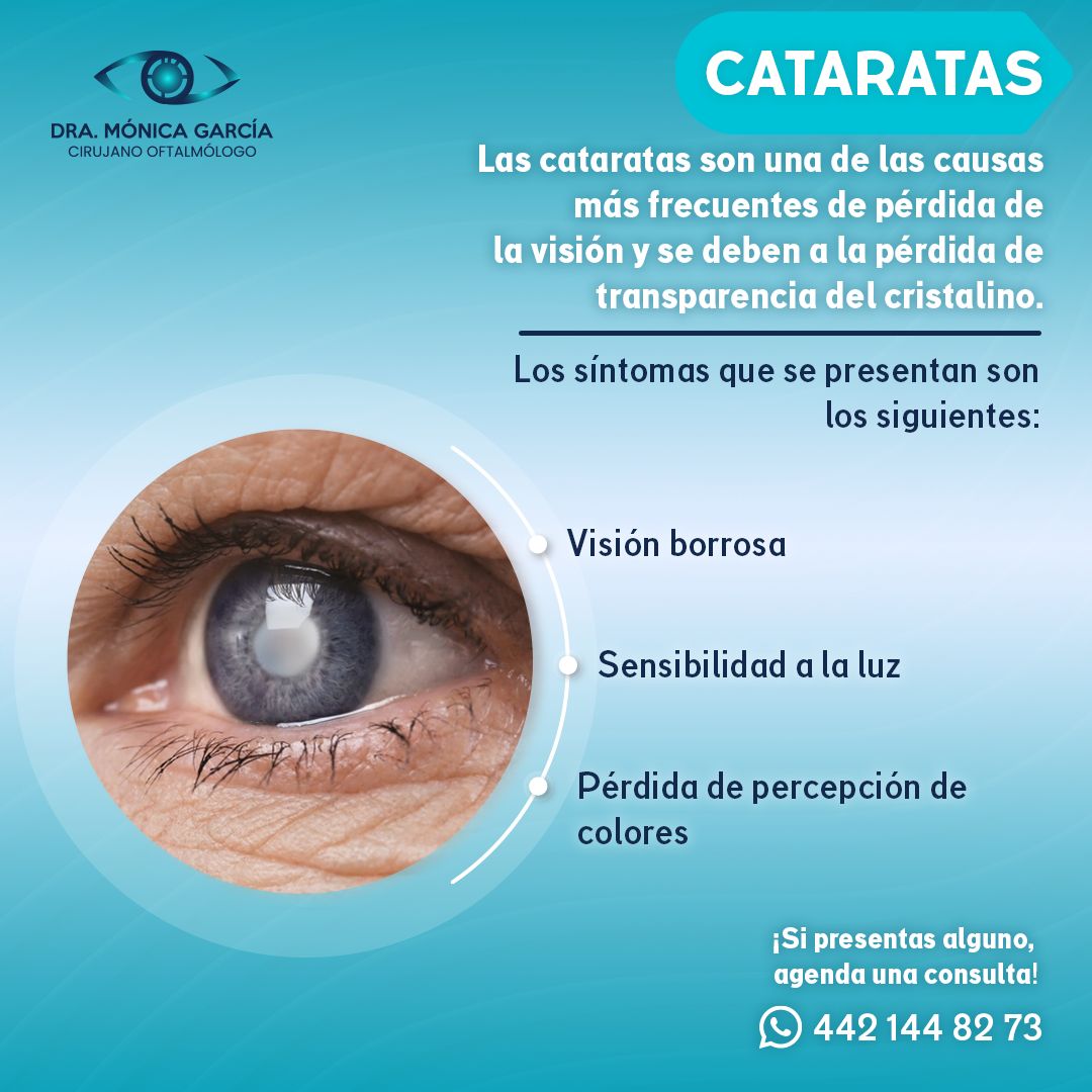 Mónica García Ibarra-9