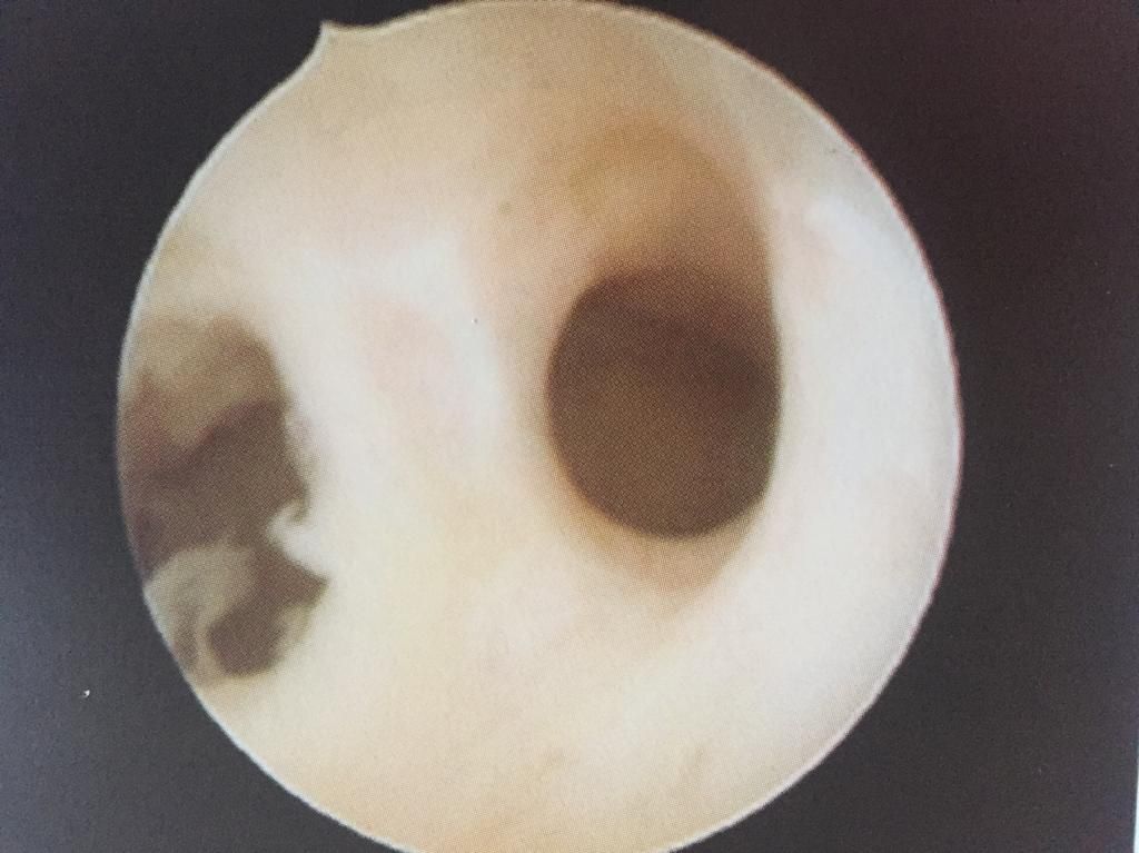 Alfredo Mendez Samano-16