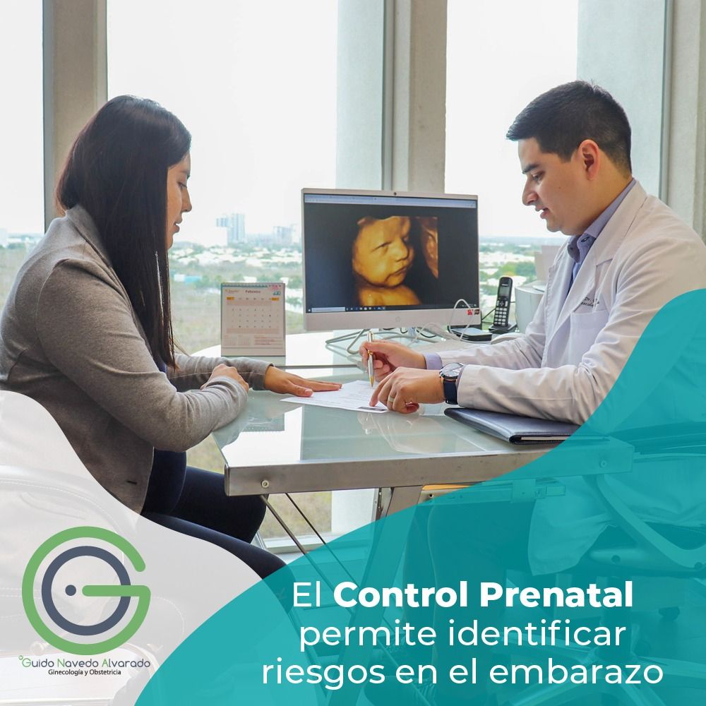 Guido Navedo Alvarado-0