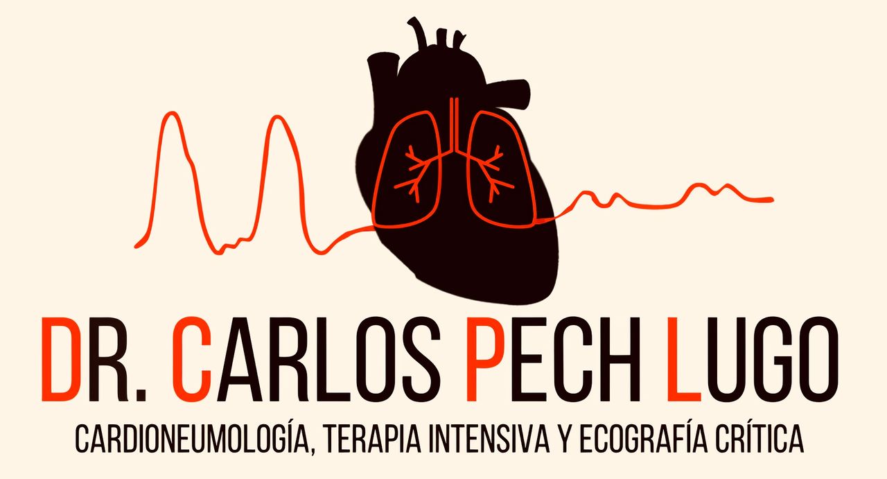 Carlos Joaquín Pech Lugo-9