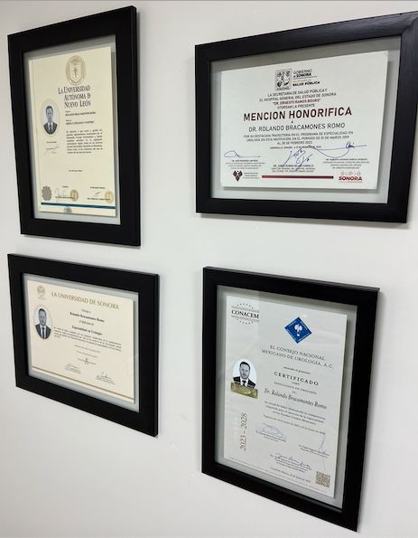 Rolando Bracamontes Romo-9