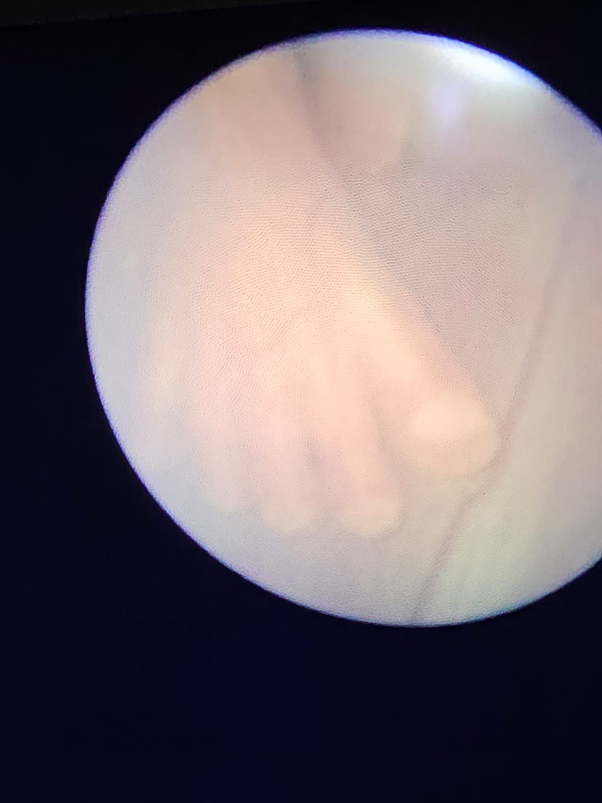 Ivon Giselle Sánchez Pons-1