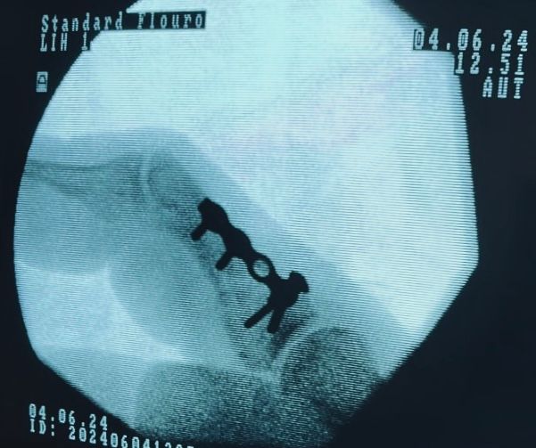 Rogelio Hernández García-68