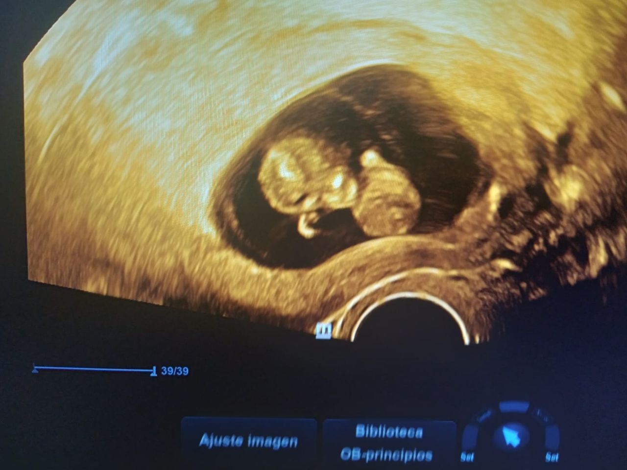 Fredy Pineda Bustos-0