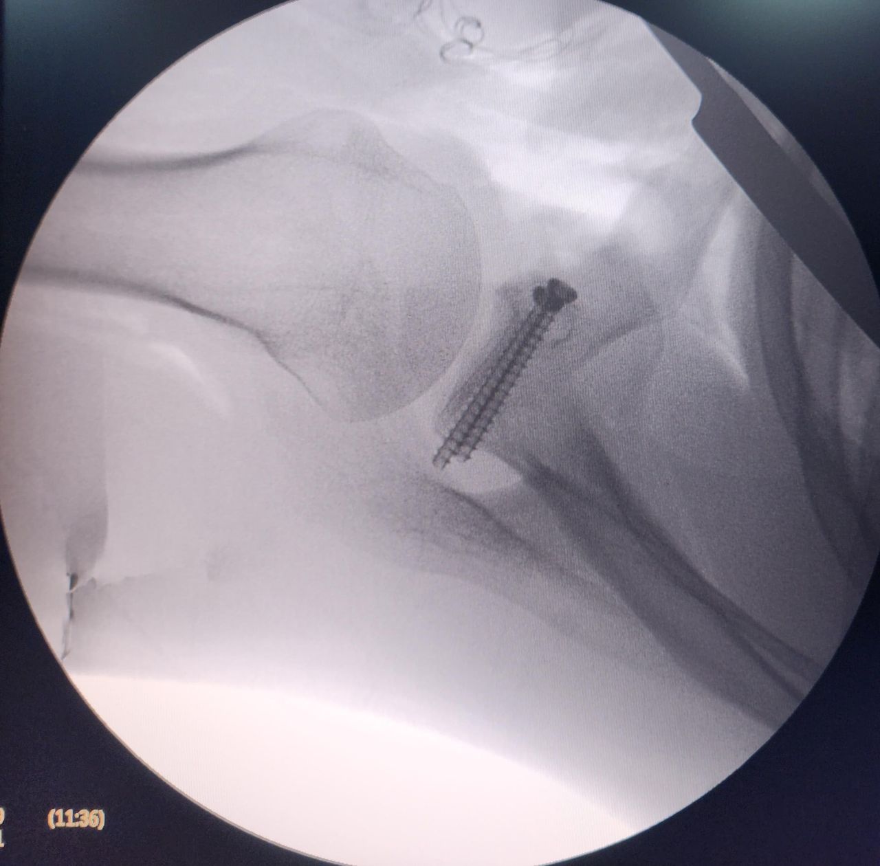 David Peña Hernández-2