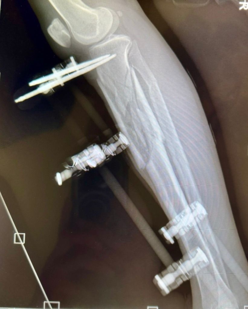 Gisela Cleto Zepeda-165