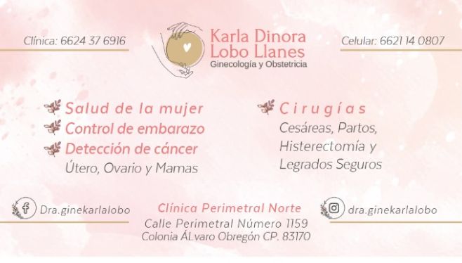 Karla Dinora Lobo Llanes-5
