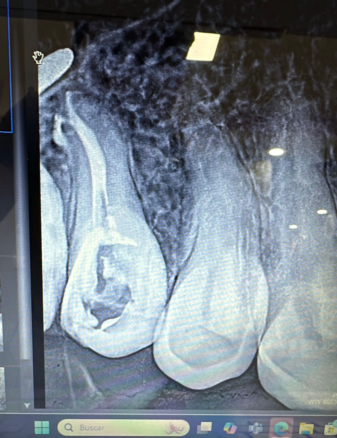 Daniel Ortiz Licea-12