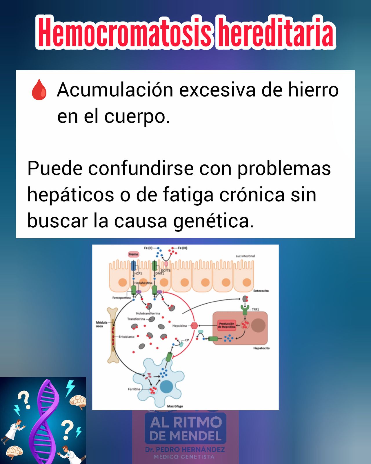 Pedro Luis  Hernández Lima -15