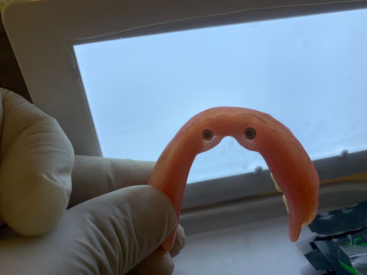 Alberto Miguel Rodriguez Soto-0