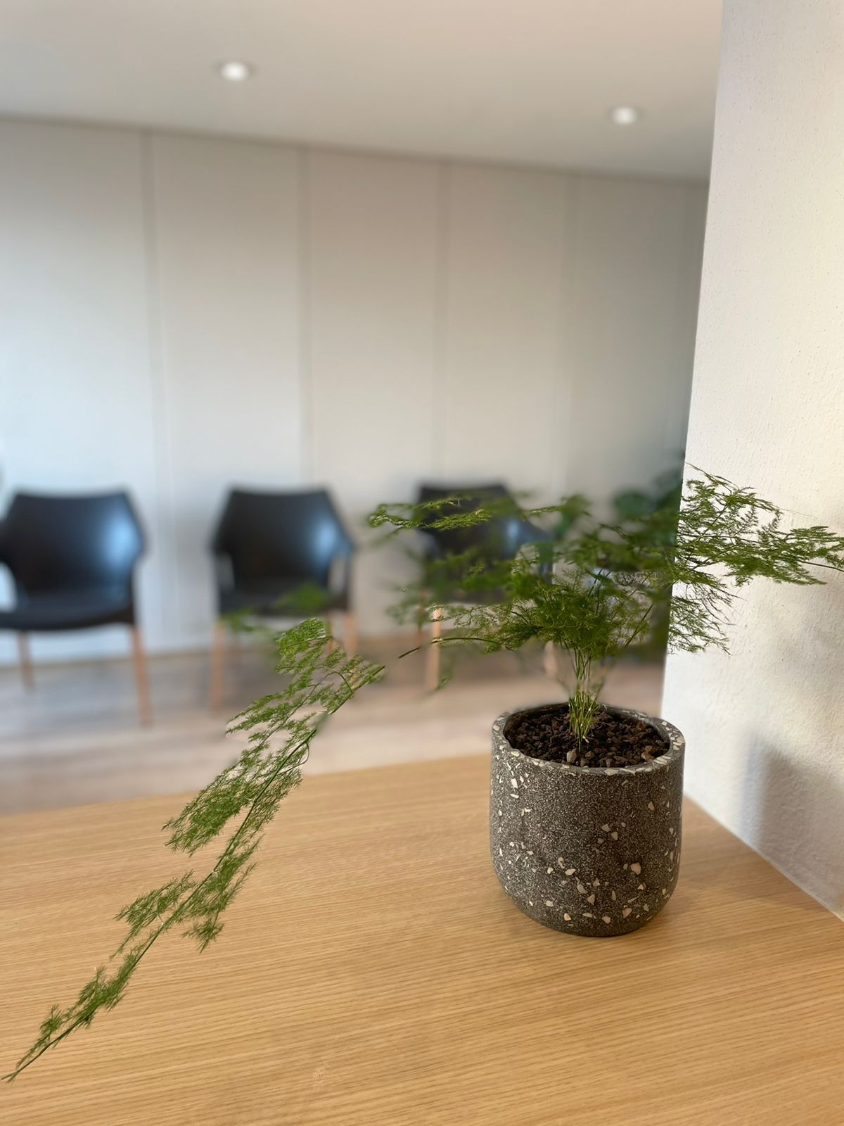 Guillermo Terán Cedi-1