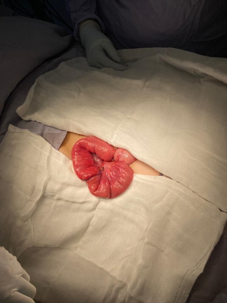 Selene Violeta Jiménez López-13