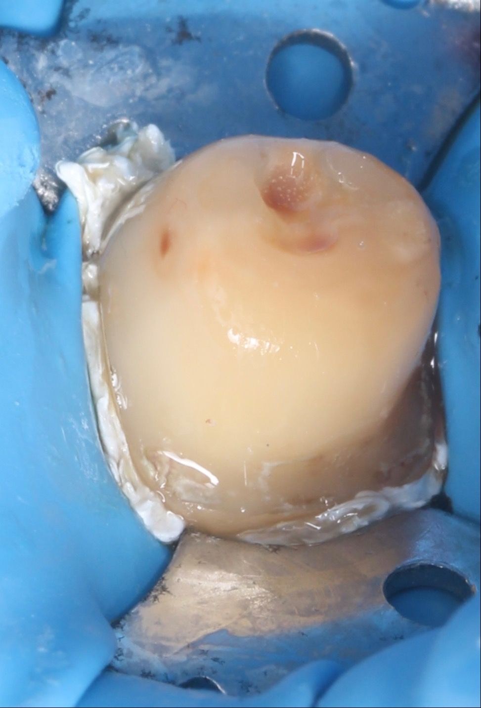 Luis Angel Carranza Resendez-1