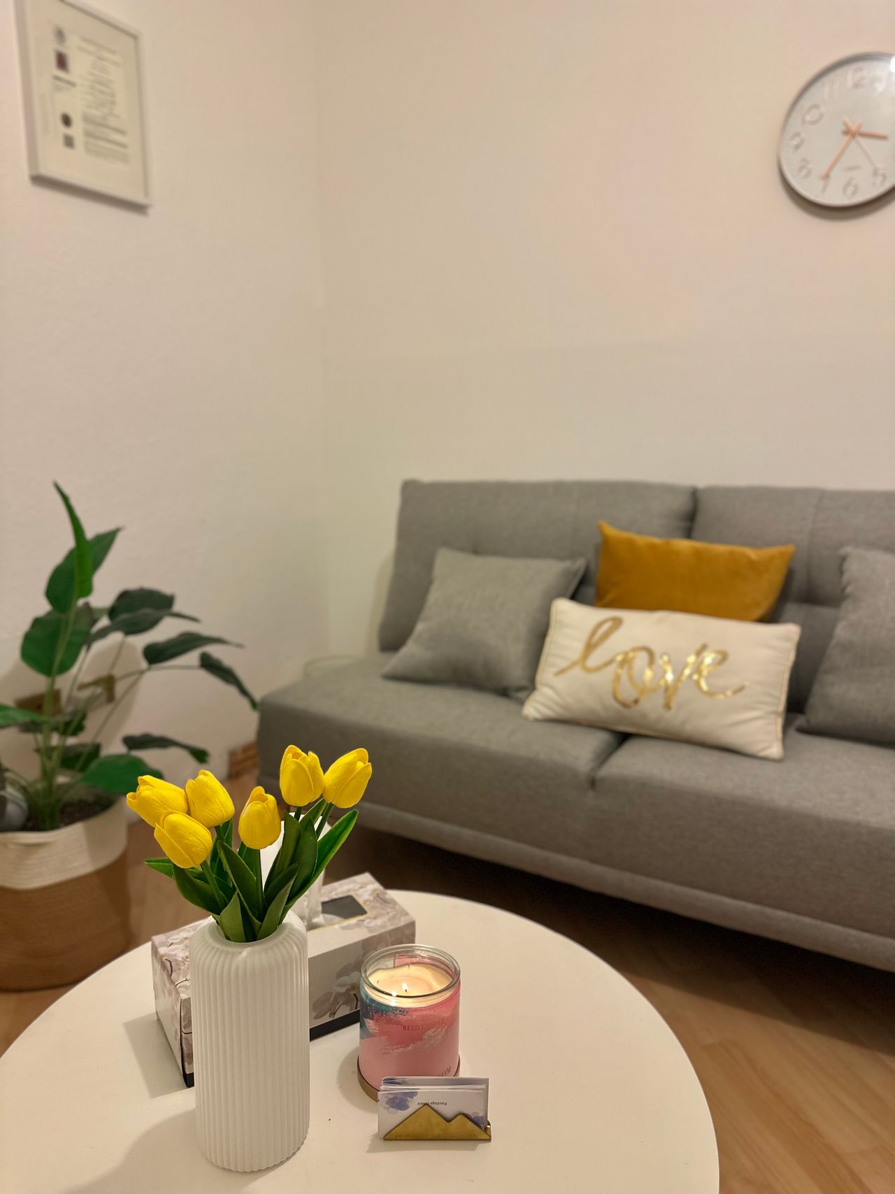 Alejandra Maciel González-1