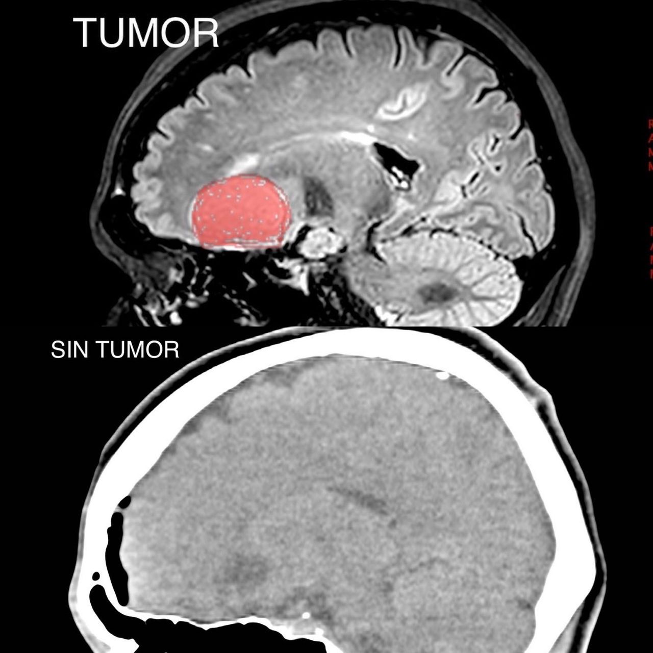 Alma García Nájera-9