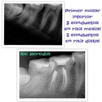 Alejandra Heredia Morán-22