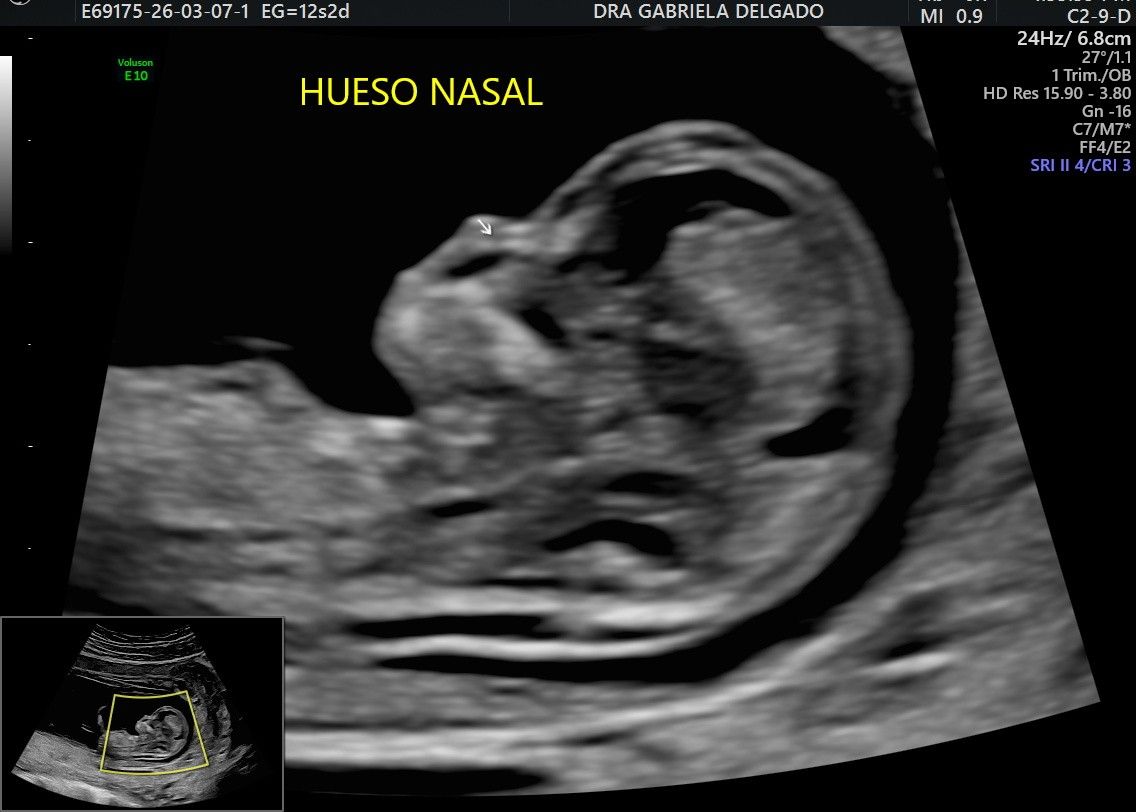 Gabriela Delgado Serrano-1