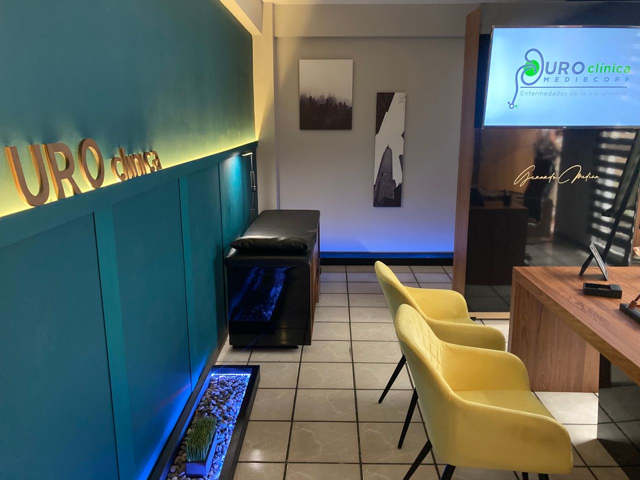 Luis Gerardo Medina Bucio-11