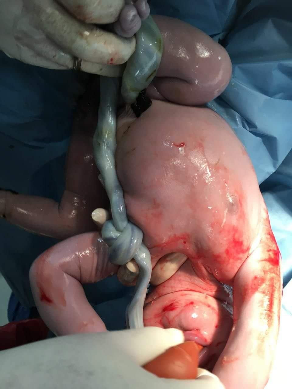 Marisol I. Alvarez Carrasco-35