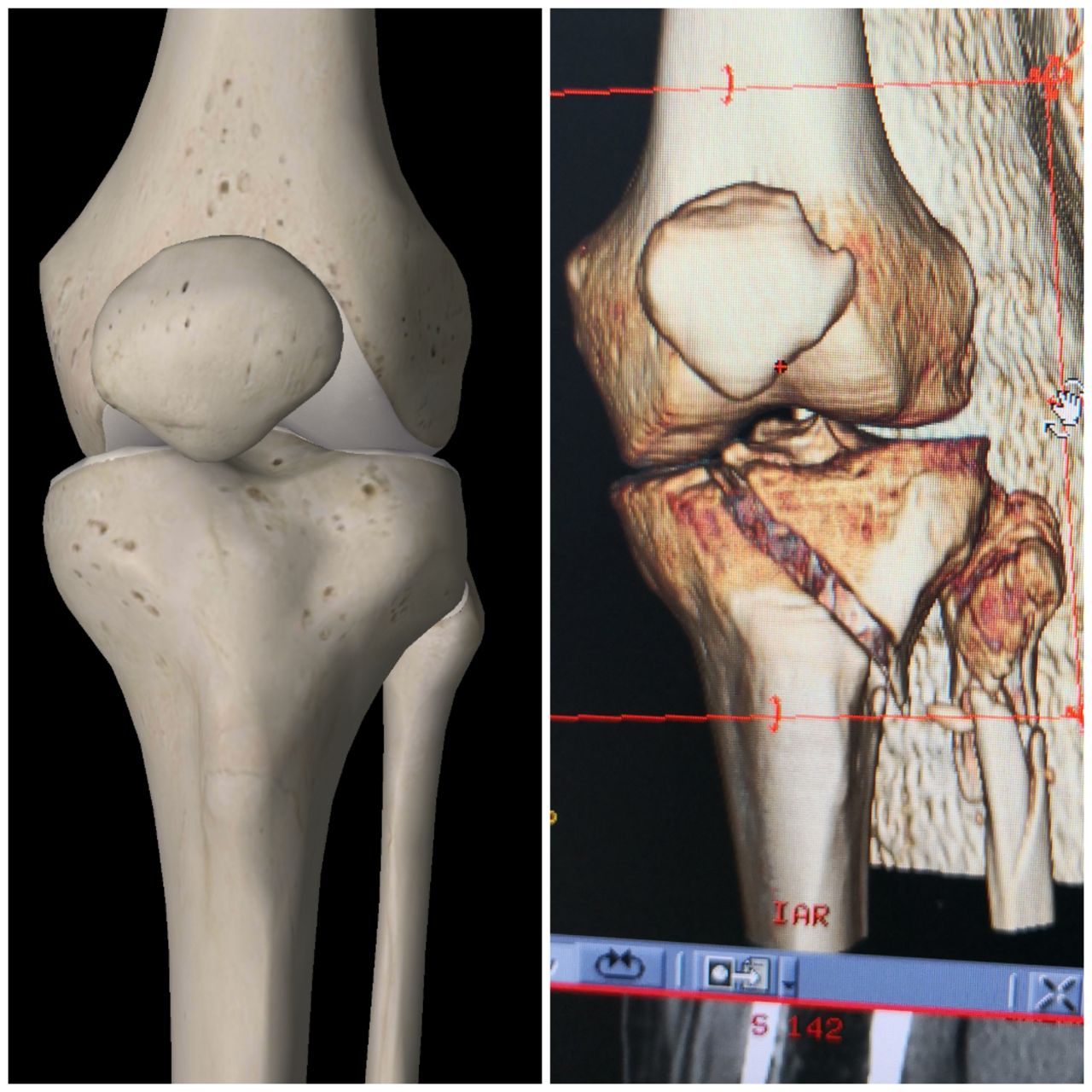 Gabriel De Leon Ochoa Lara-13