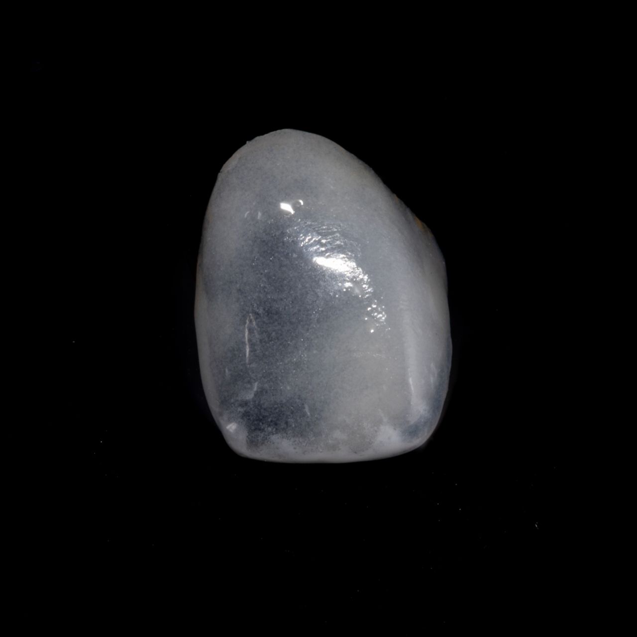 Alejandra Esparza Flores-10