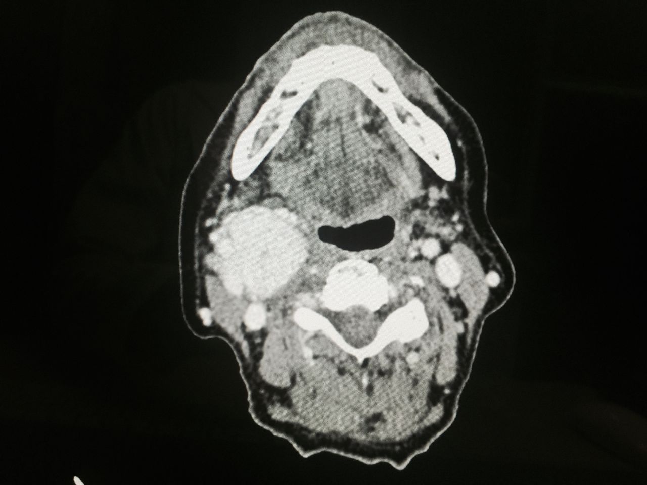 Davinia Elizabeth Sámano Saucedo-5