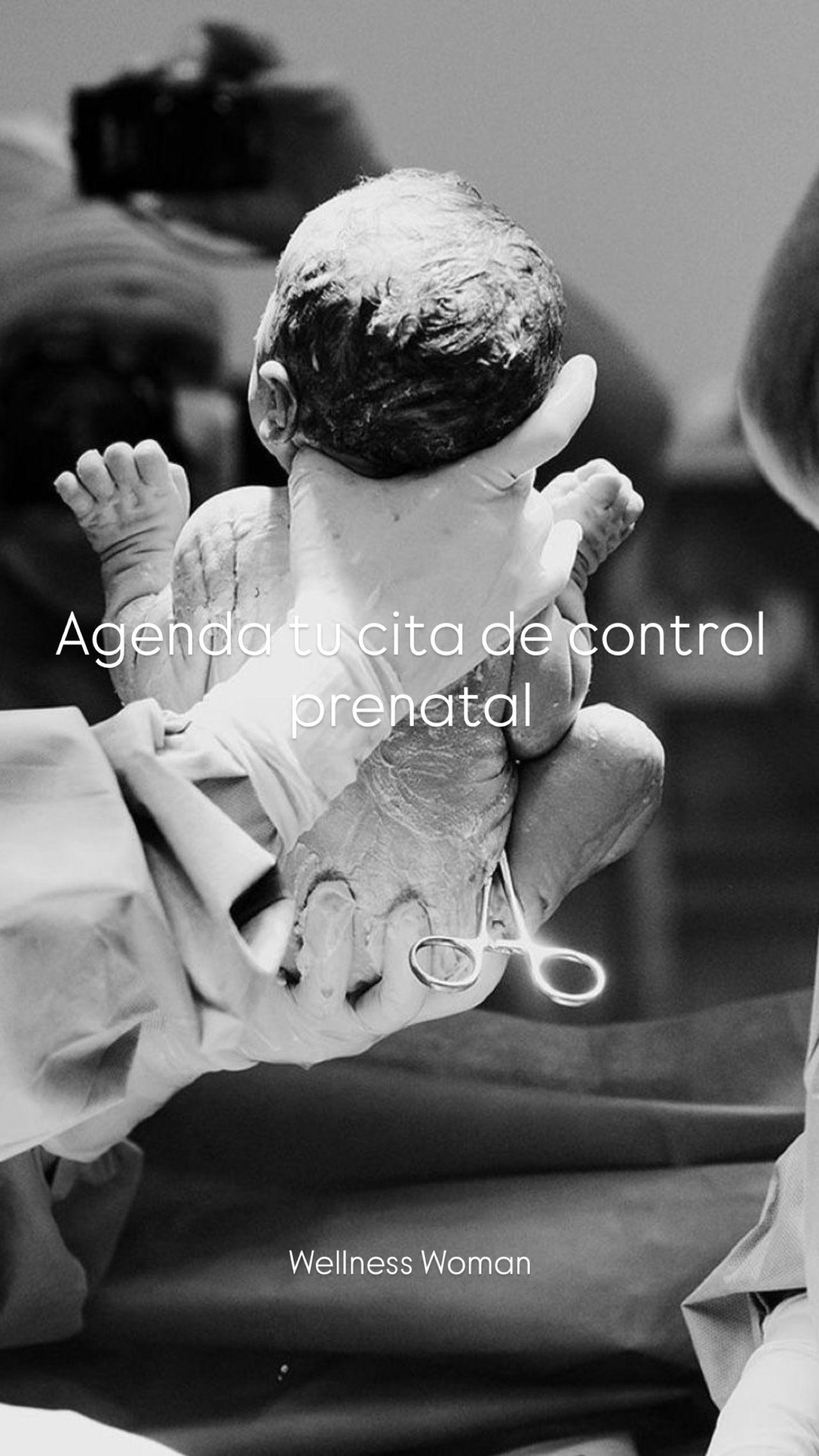 Karla Paloma Tejeda Martínez-4