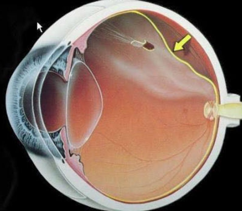 Juan Fernando Rivero Prado-7