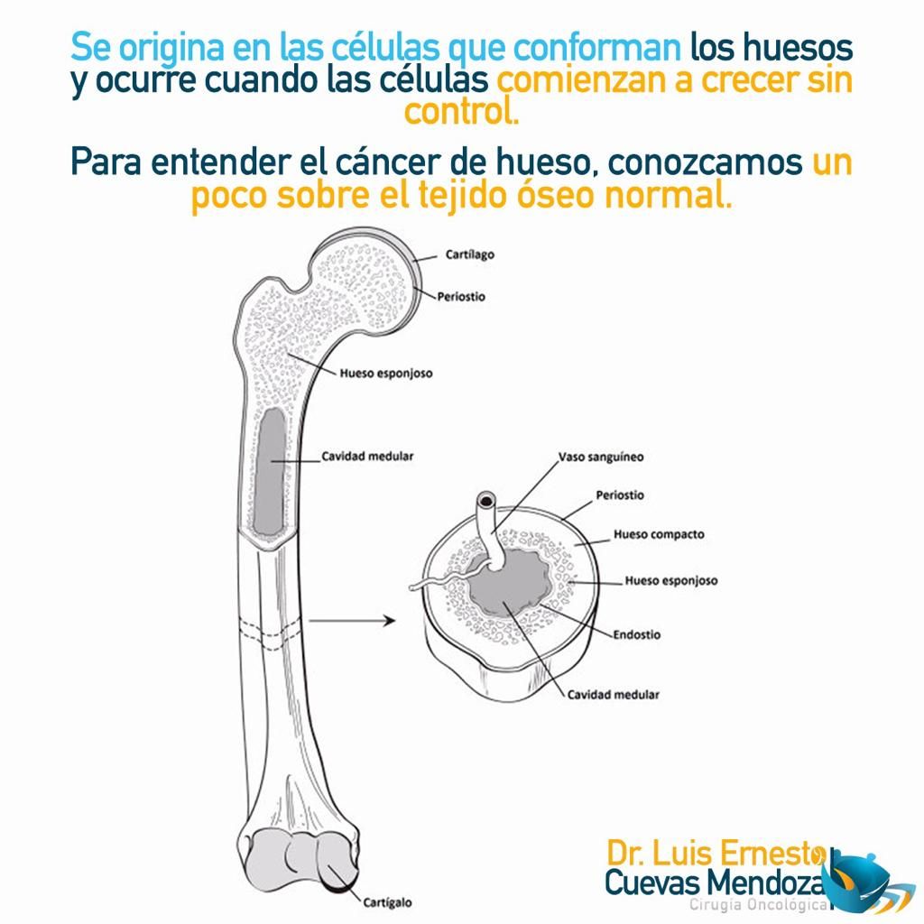 Luis Ernesto Cuevas Mendoza-224