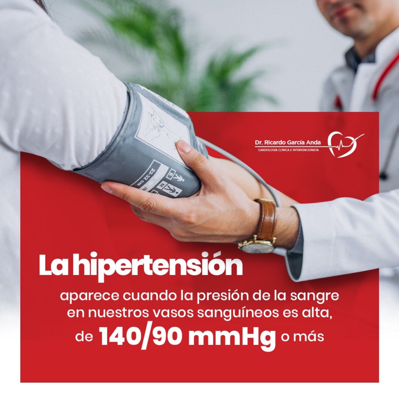 Ricardo Garcia Anda-3