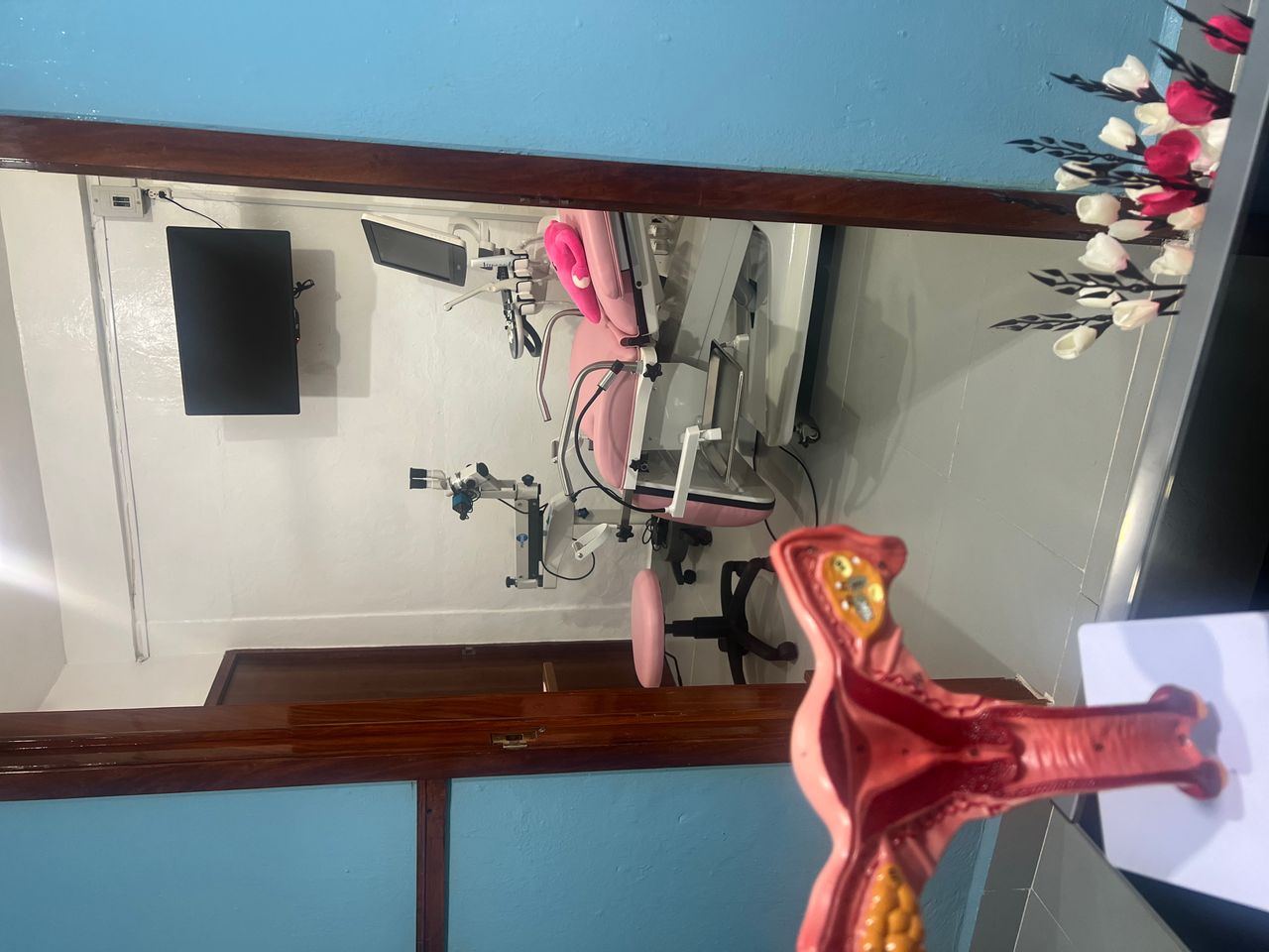 Suria D. Soriano León-5