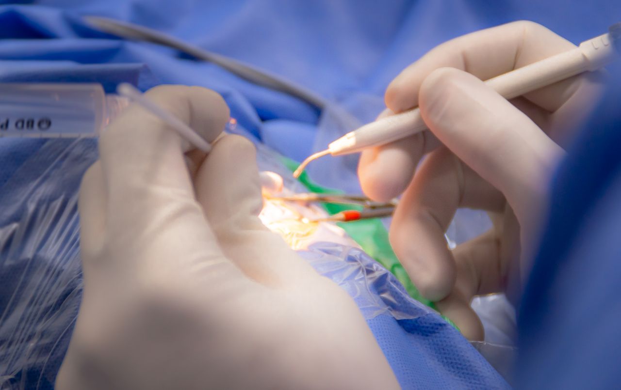 Milton M. Maldonado  Reinoso-16